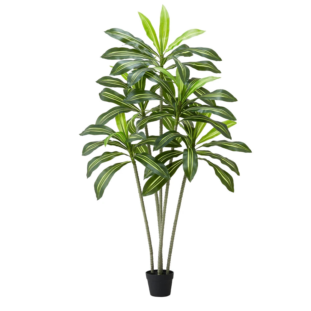 Artificial Dracaena Tree — 6 ft, White Planter with Moss Cover