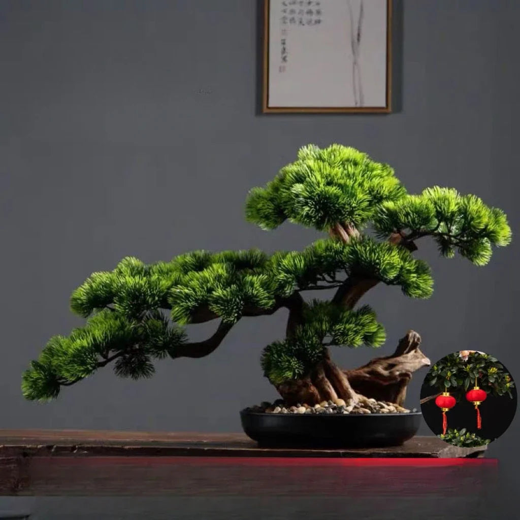 The 2ft bonsai shown beside a hand to give a sense of its size