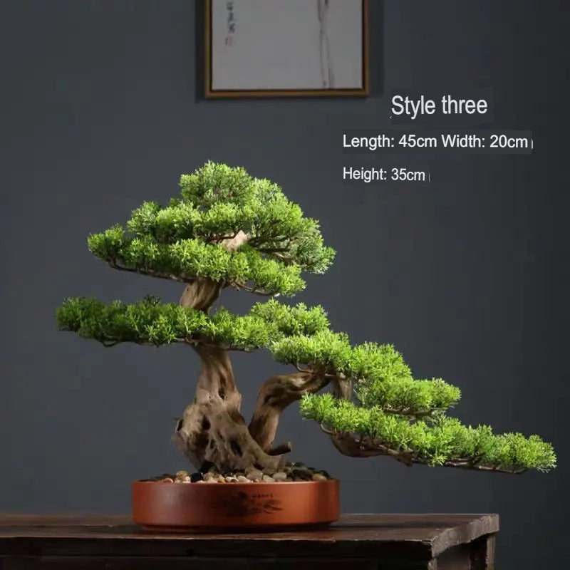 Needle tips of the 2ft bonsai foliage, fine and splayed at the ends
