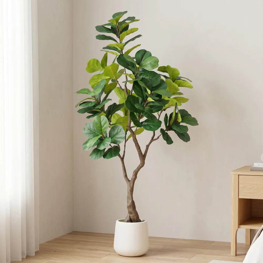 Artificial Fiddle Leaf Fig Tree — 6 ft, White Pot with Moss-Topped Soil