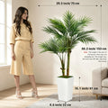 Artificial Areca Palm Tree — 5 ft, Square or Round White Planter