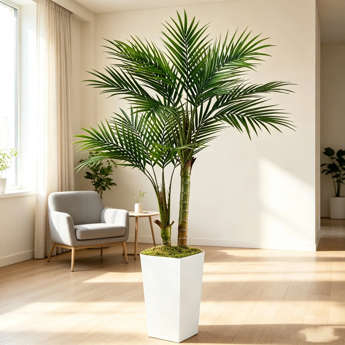 Artificial Areca Palm Tree — 5 ft, Square or Round White Planter