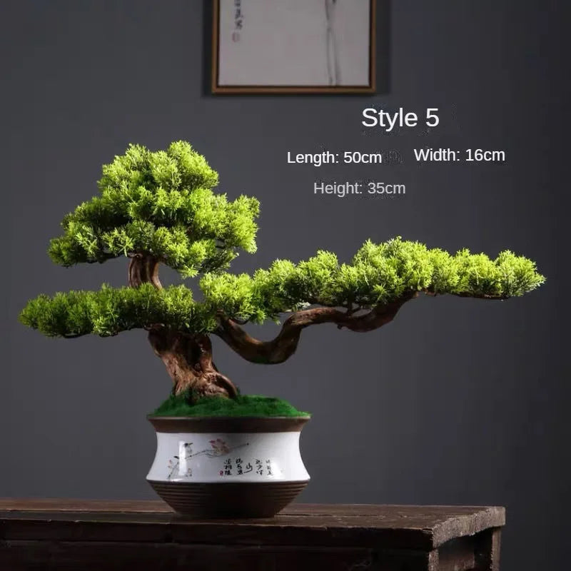 The 2ft bonsai set on a sideboard as an elegant piece of indoor decor