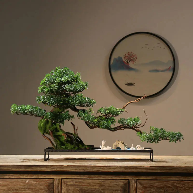 The moss and gravel finish across the potting surface of the bonsai