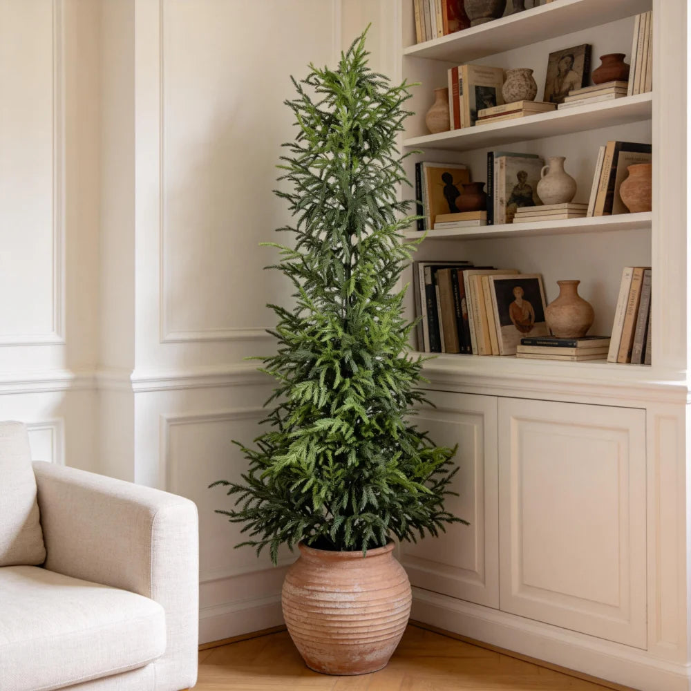 Artificial Norfolk Pine Tree — 5 ft, Real-Touch Foliage, Potted