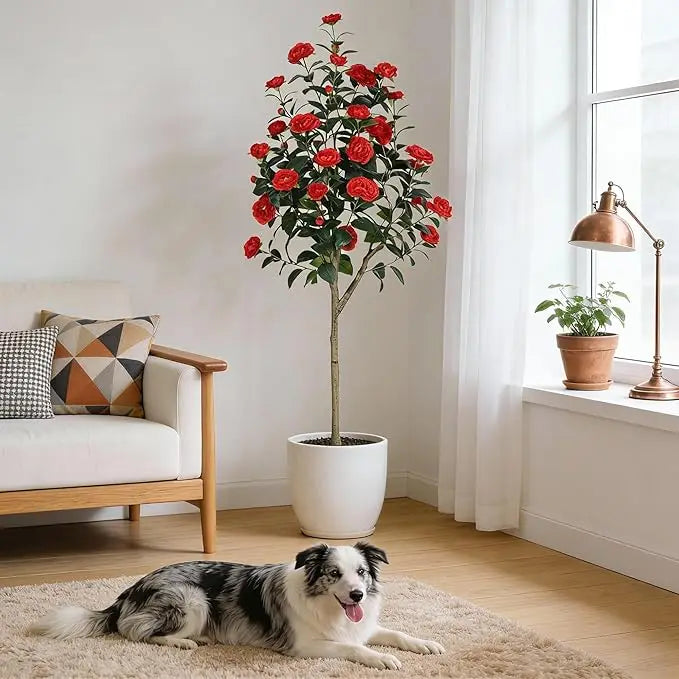 Artificial Camellia Tree — 3 to 5 ft, Silk Flowers in Red or White