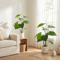Artificial Alocasia Leaf Plant — 30 in, Set of 2 in a White Pot