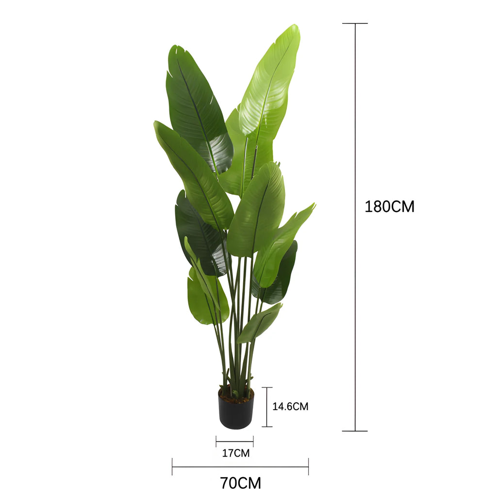 Artificial Bird of Paradise — 160 or 180 cm, Silk Leaves with Nursery Pot