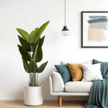 Artificial Bird of Paradise Plant — 5.2 ft, 12 Leaves, Set of 2