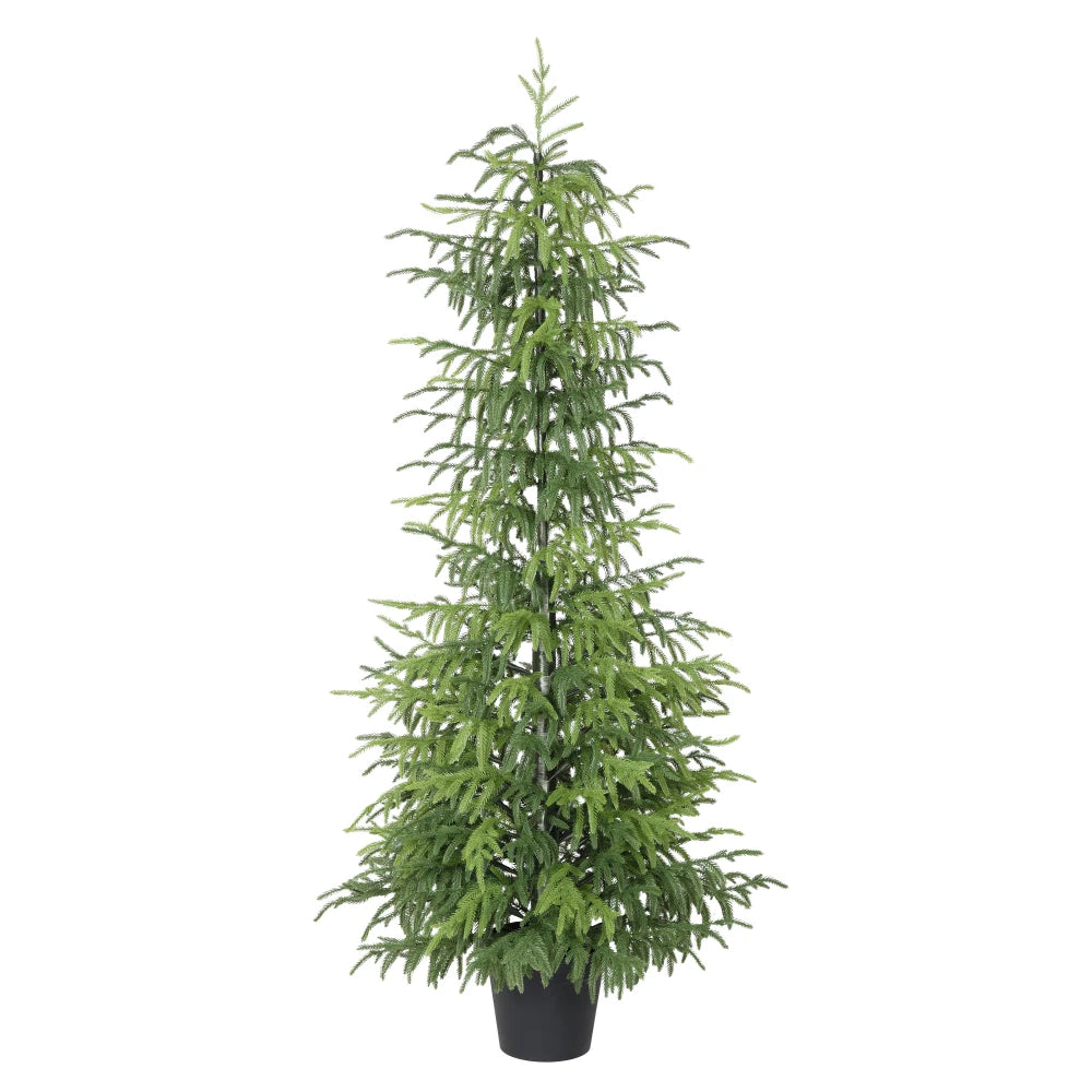 Artificial Norfolk Pine Tree — 5 ft, Real-Touch Foliage, Potted