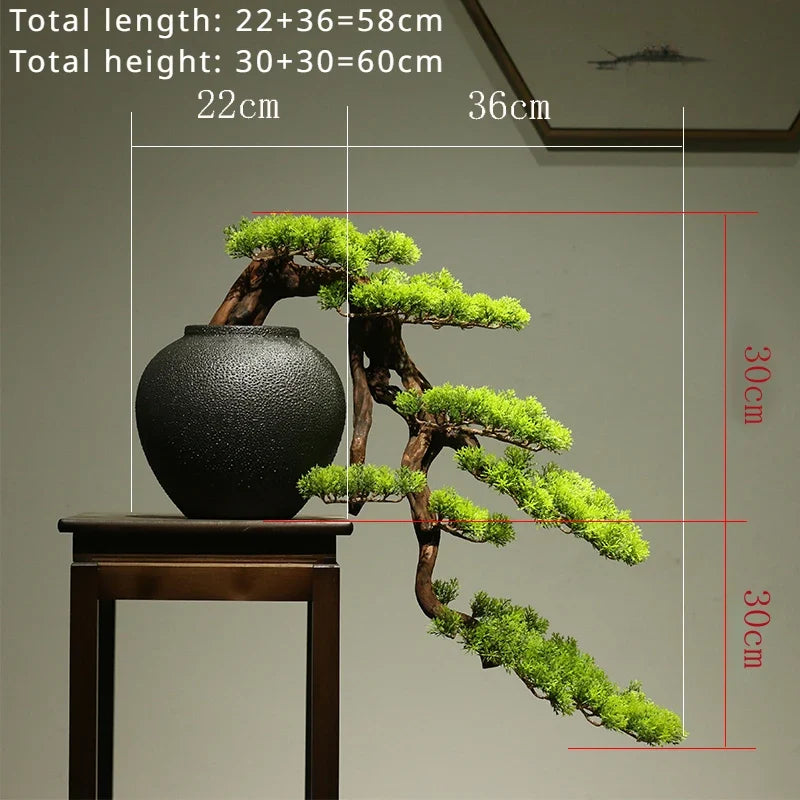 The leaning trunk of the 3ft cliff pine reaching well out past the pot