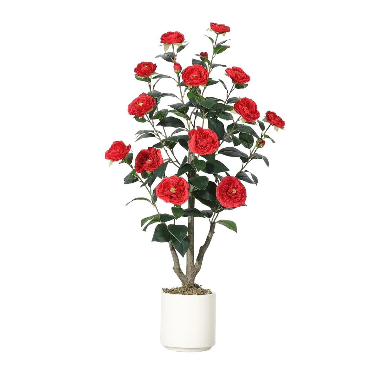 Artificial Camellia Tree — 3 to 5 ft, Silk Flowers in Red or White