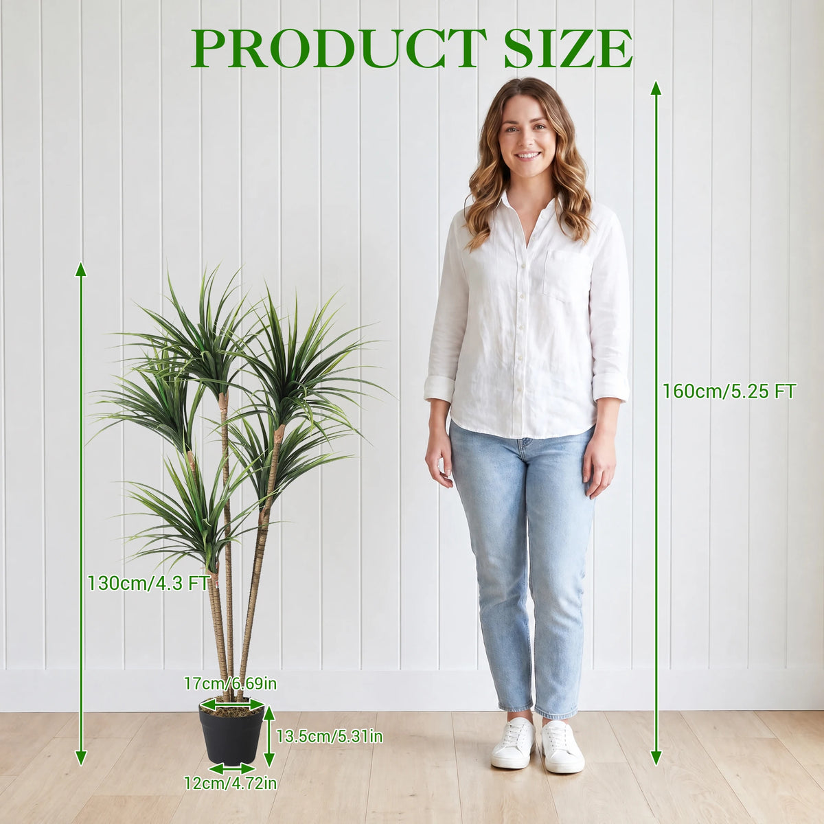 Artificial Dracaena Marginata Tree — 4.3 to 4.9 ft, Weighted Base