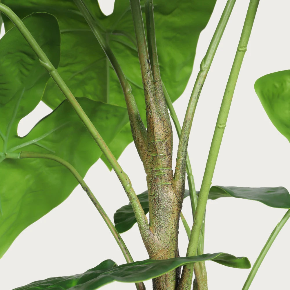 Artificial Alocasia Leaf Plant — 30 in, Set of 2 in a White Pot