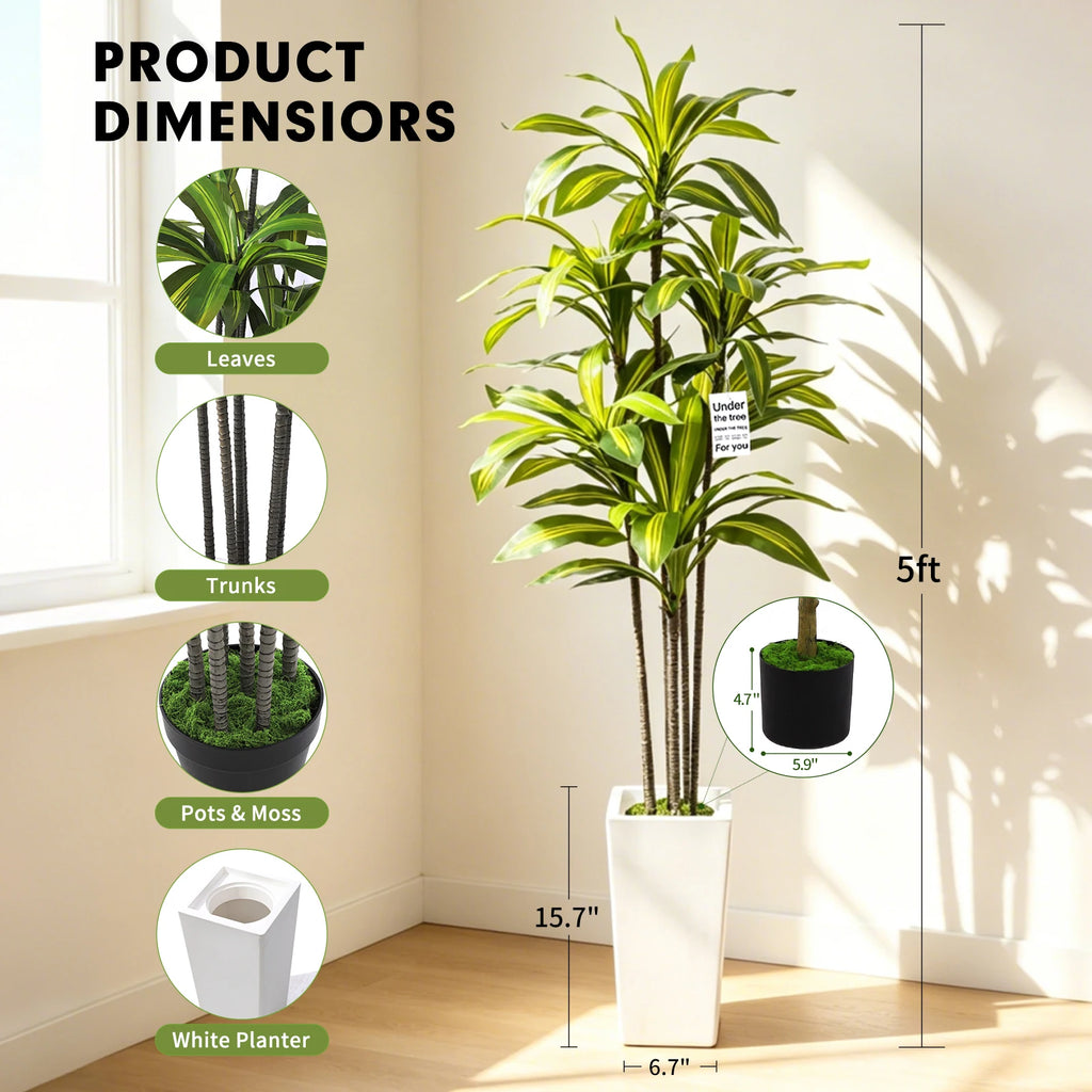 Artificial Dracaena Tree — 5 ft, White Tall Planter with Faux Moss