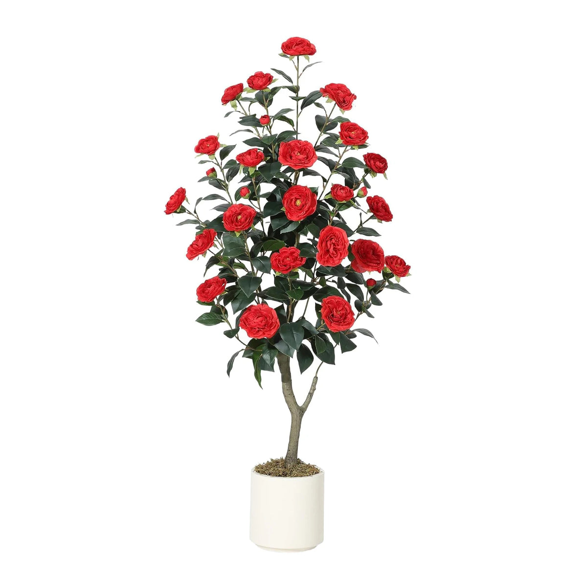 Artificial Camellia Tree — 3 to 5 ft, Silk Flowers in Red or White
