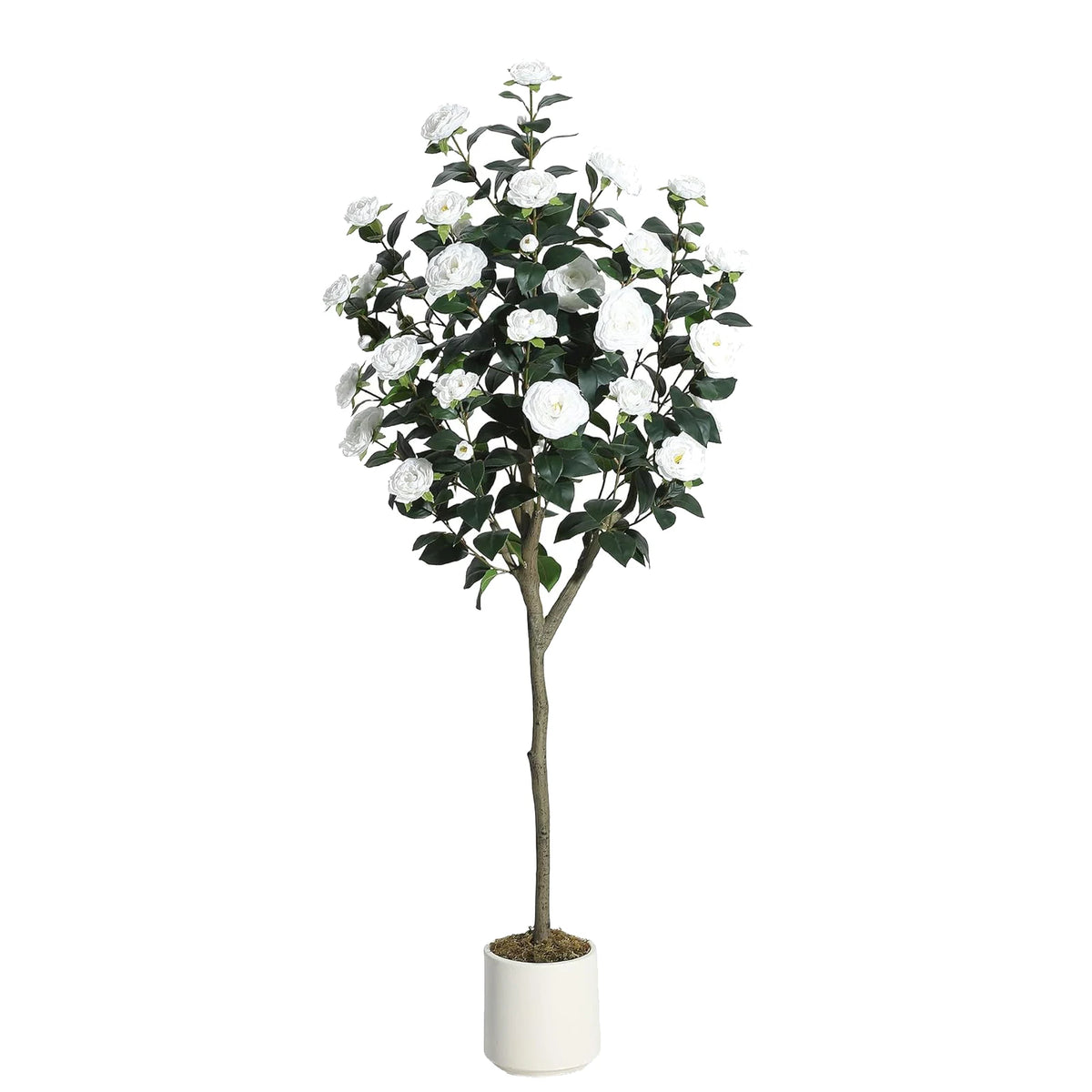Artificial Camellia Tree — 3 to 5 ft, Silk Flowers in Red or White