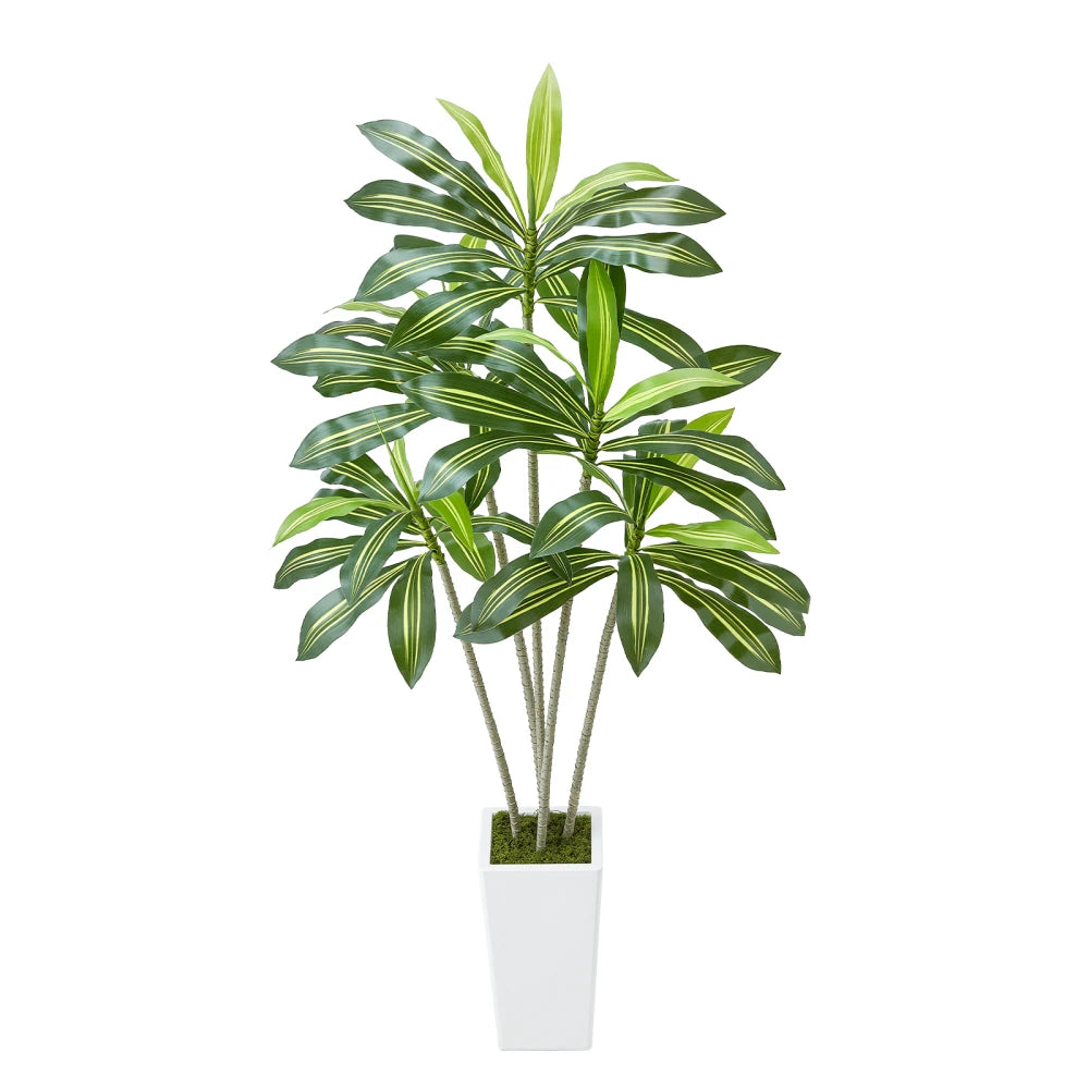 Artificial Dracaena Tree — 6 ft, White Planter with Moss Cover