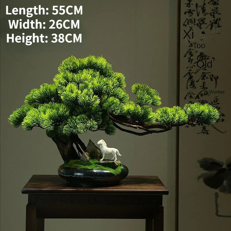 The bonsai seen from above, its pads opening out in calm staggered tiers