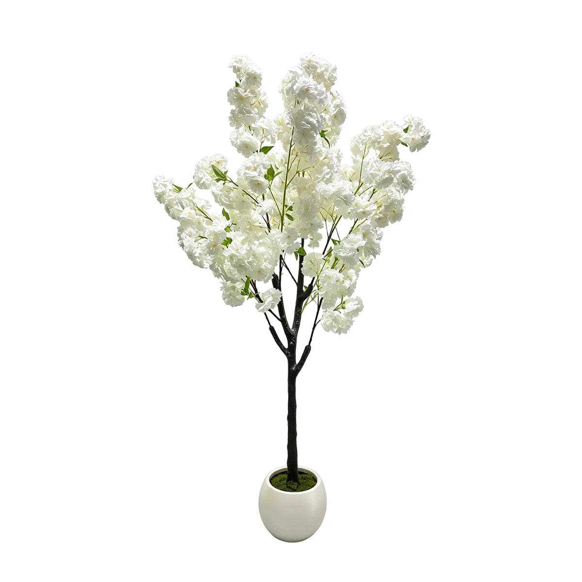 Artificial Cherry Blossom Tree — 5 to 6 ft, White Sakura Blossoms