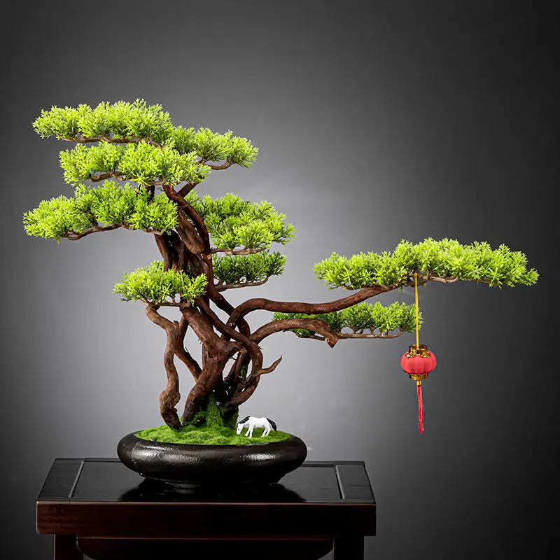 The bonsai set on a windowsill in bright indoor daylight at home