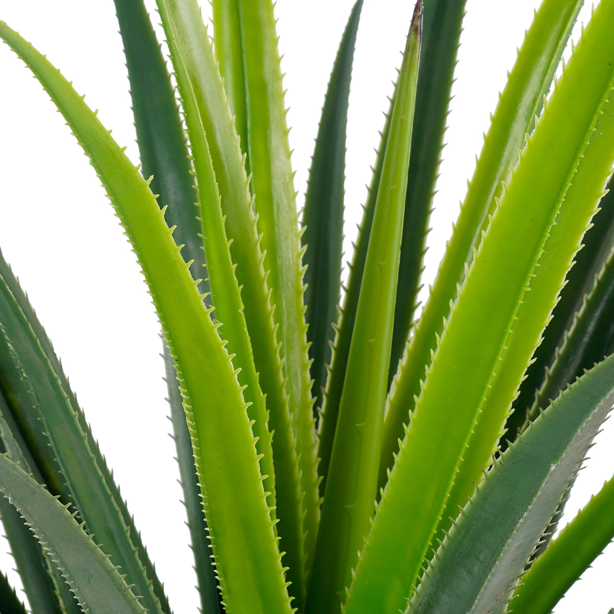 Gallery photo 9 of the artificial agave plant in a black pot