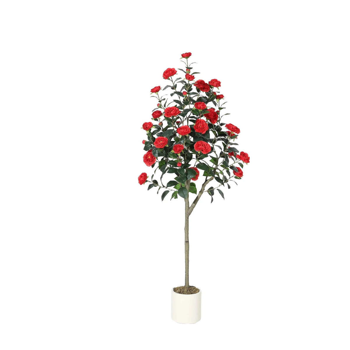 Artificial Camellia Tree — 3 to 5 ft, Silk Flowers in Red or White