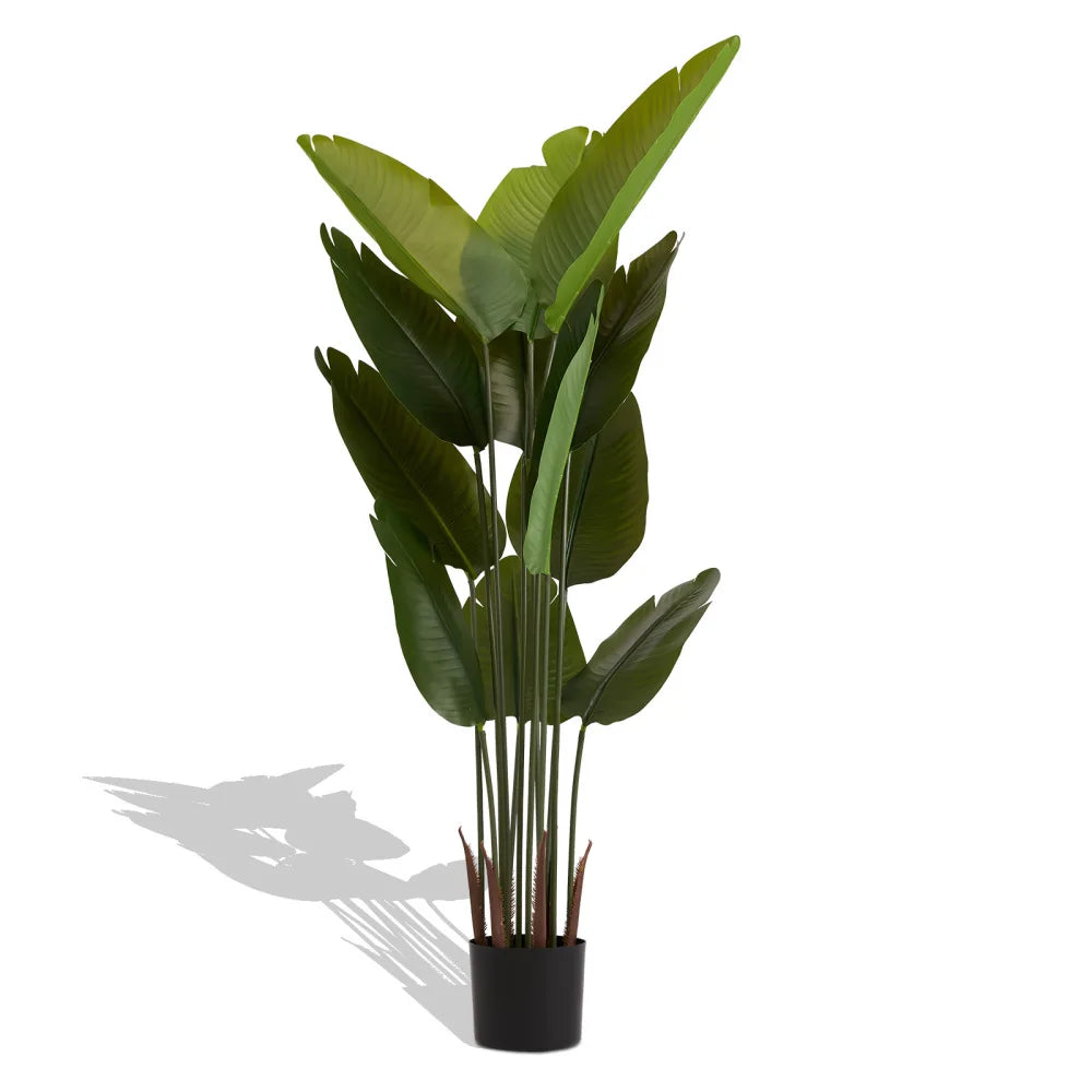 Artificial Bird of Paradise Plant — 5.2 ft, 12 Leaves, Set of 2