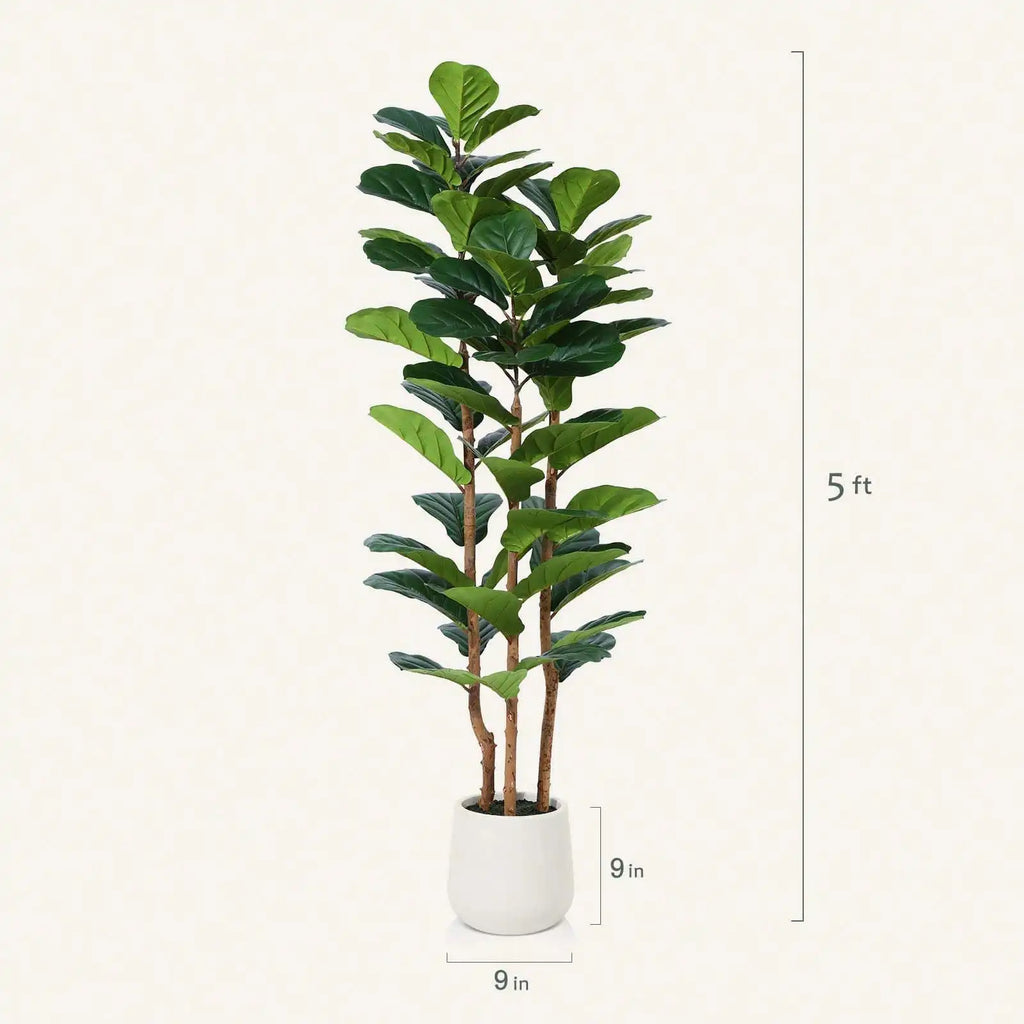 Artificial Fiddle Leaf Fig Tree — 5 to 7 ft, White Pot