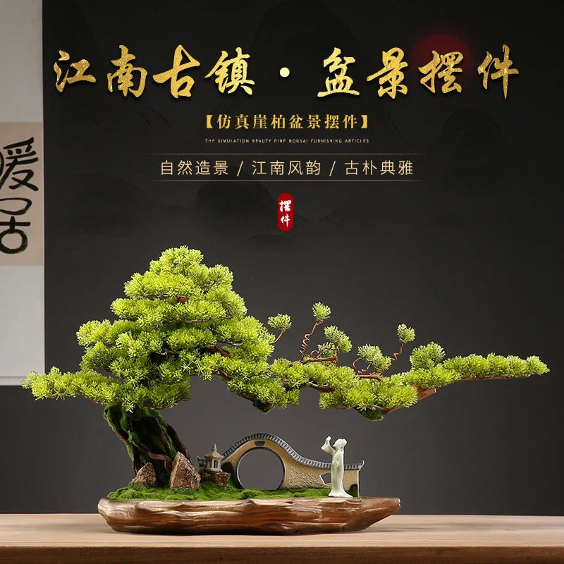 The bonsai seen from above, its pads opening out in staggered tiers