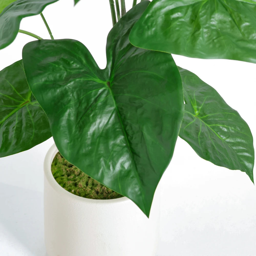 Artificial Alocasia Leaf Plant — 30 in, Set of 2 in a White Pot