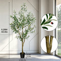 Artificial Olive Tree — 5.25 to 8 ft, Silk Foliage with Counted Leaves and Fruit