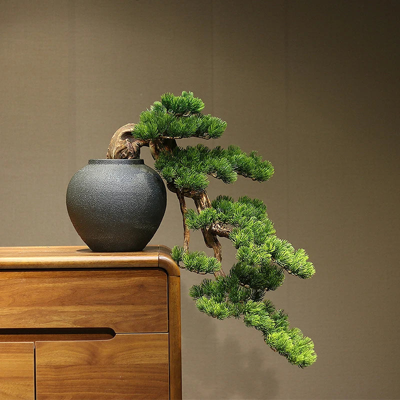 The 3ft cliff bonsai used outdoors on a covered patio beside seating