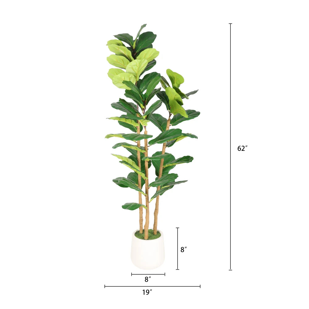Artificial Fiddle Leaf Fig Tree — 5.2 ft, White Mossed Pot, Single Corner Size