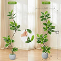 Artificial Fiddle Leaf Fig Tree — 60 to 84 in, Gray Sphere Planter with Moss