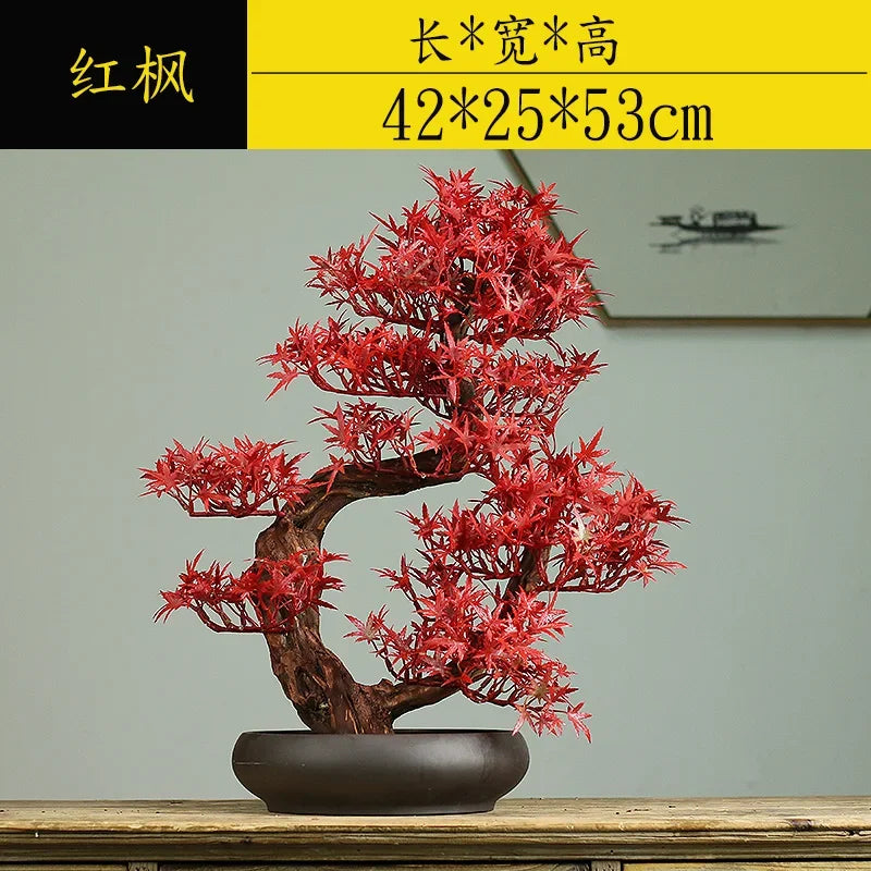 The sculpted trunk of the 24in bonsai rising out of its shallow pot