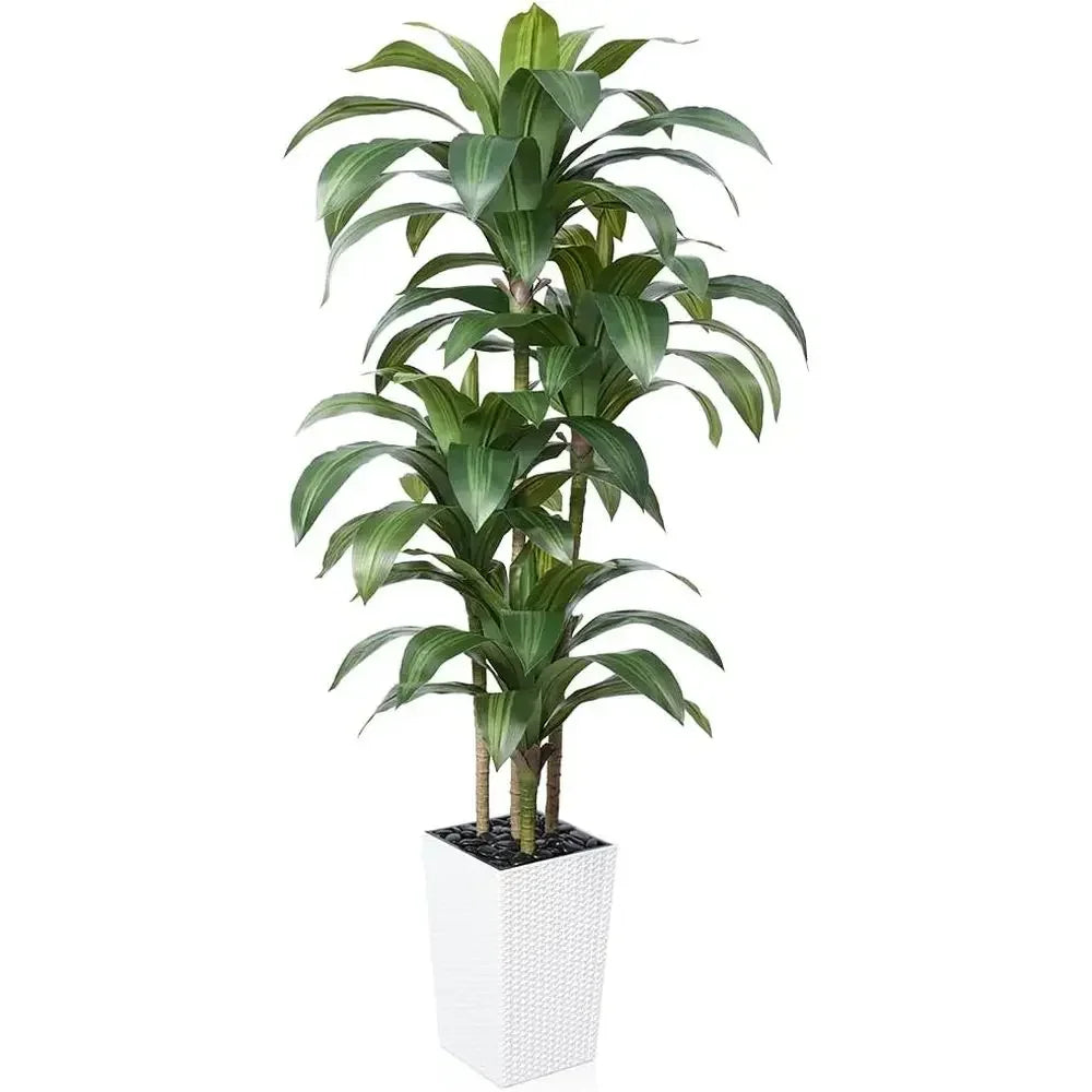 Artificial Dracaena Tree — 6 ft, UV-Resistant Tapered Planter with River Rock