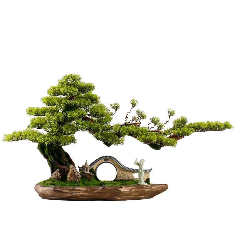 The 4ft Zen bonsai photographed front-on against a plain backdrop