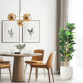Artificial Fiddle Leaf Fig Tree — 5 to 7 ft, White Planter with Real Wood Trunk