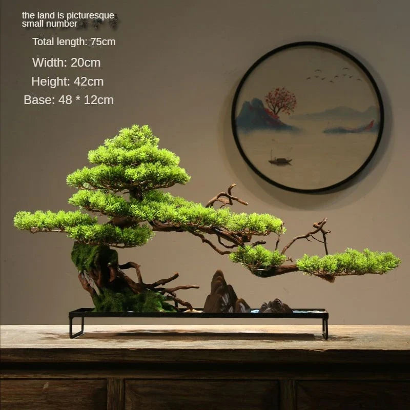 The bonsai in profile with its branches trained well out to one side