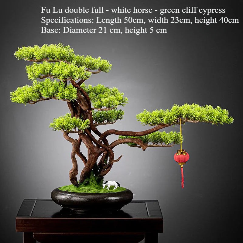 Close-up of a branch pad meeting the sculpted trunk of the bonsai