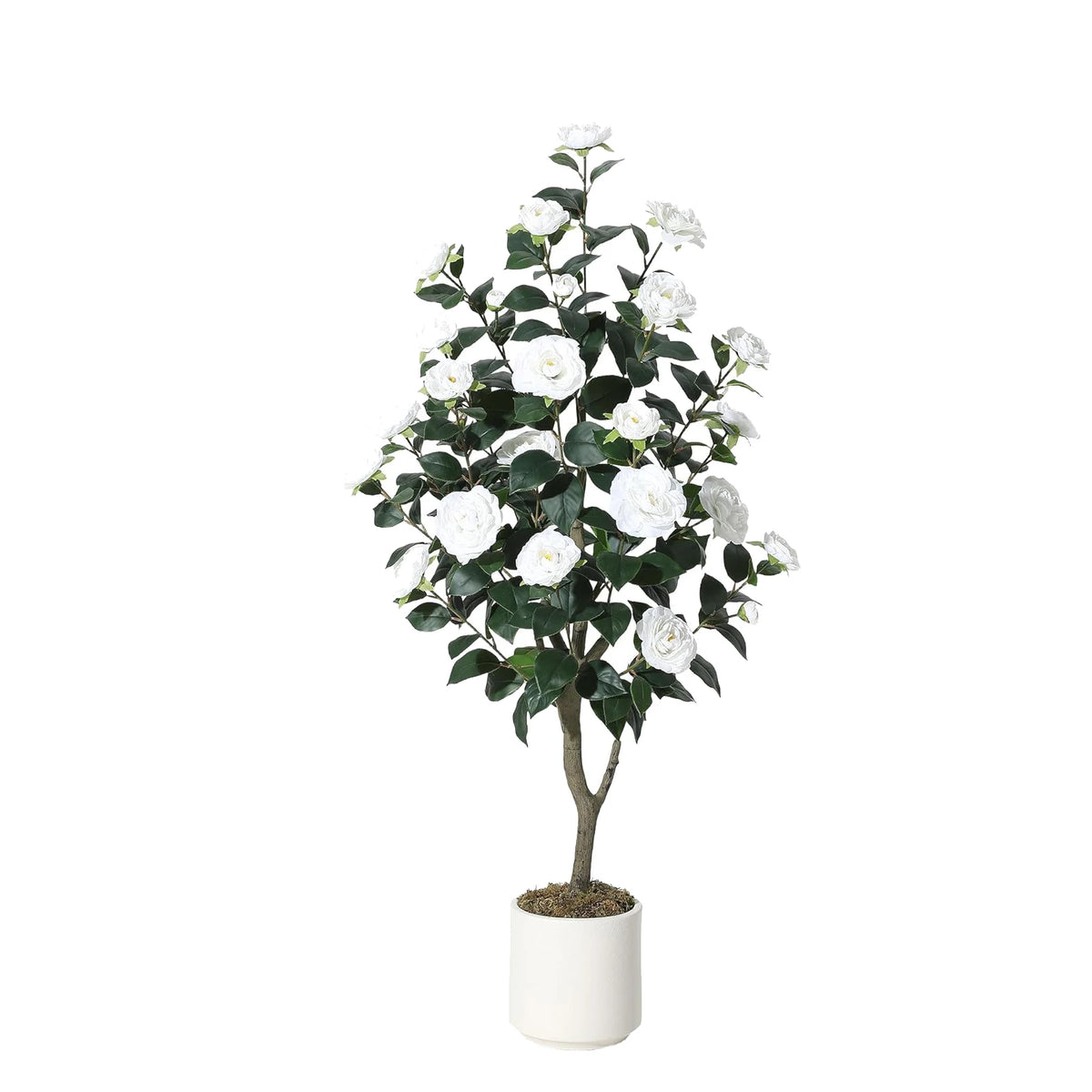 Artificial Camellia Tree — 3 to 5 ft, Silk Flowers in Red or White