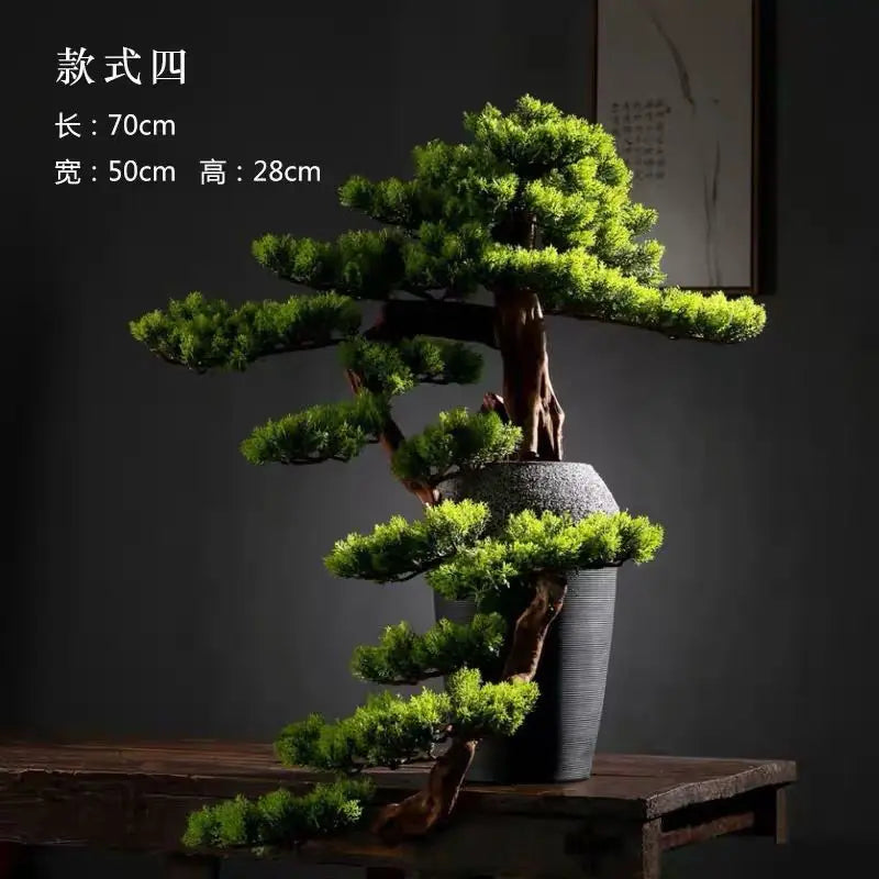 Close-up of a branch pad where it meets the trunk of the 2.5ft bonsai