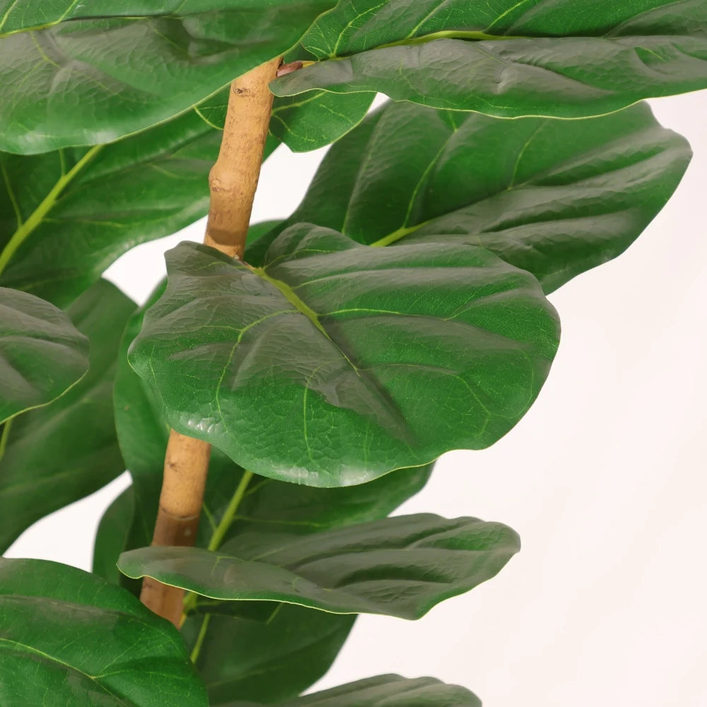 Artificial Fiddle Leaf Fig Tree — 5.2 ft, White Mossed Pot, Single Corner Size