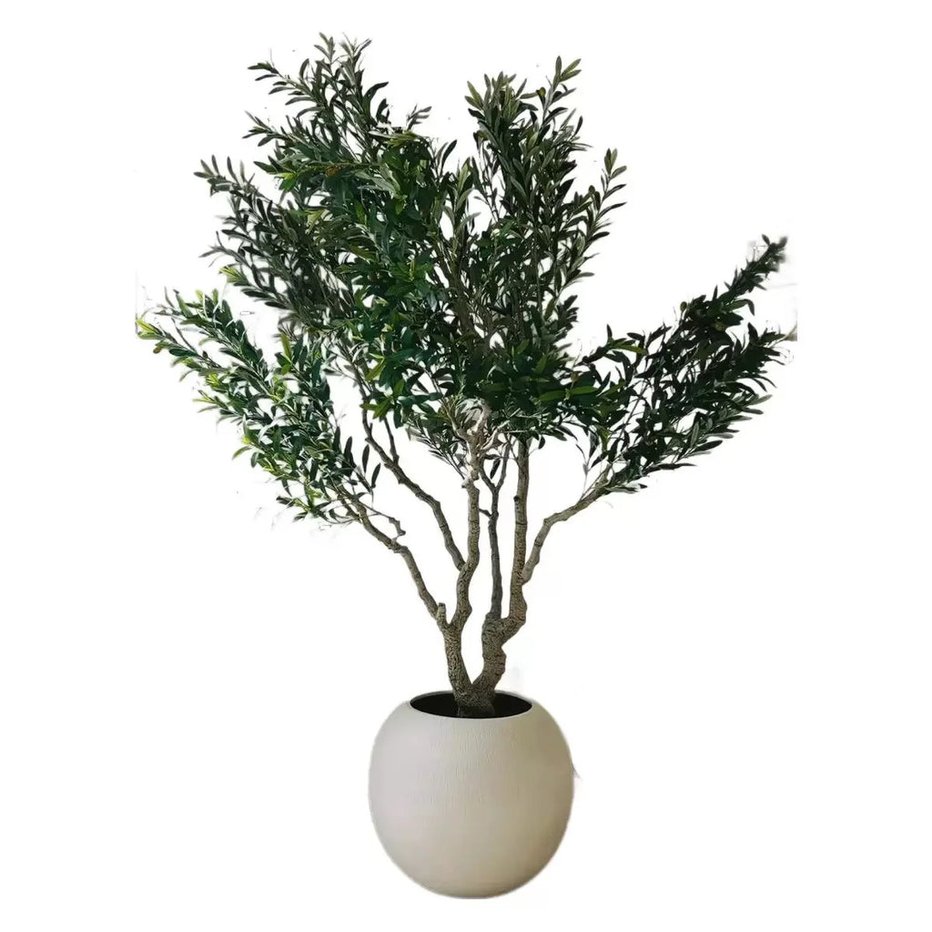 The same olive tree used outdoors on a terrace standing beside seating