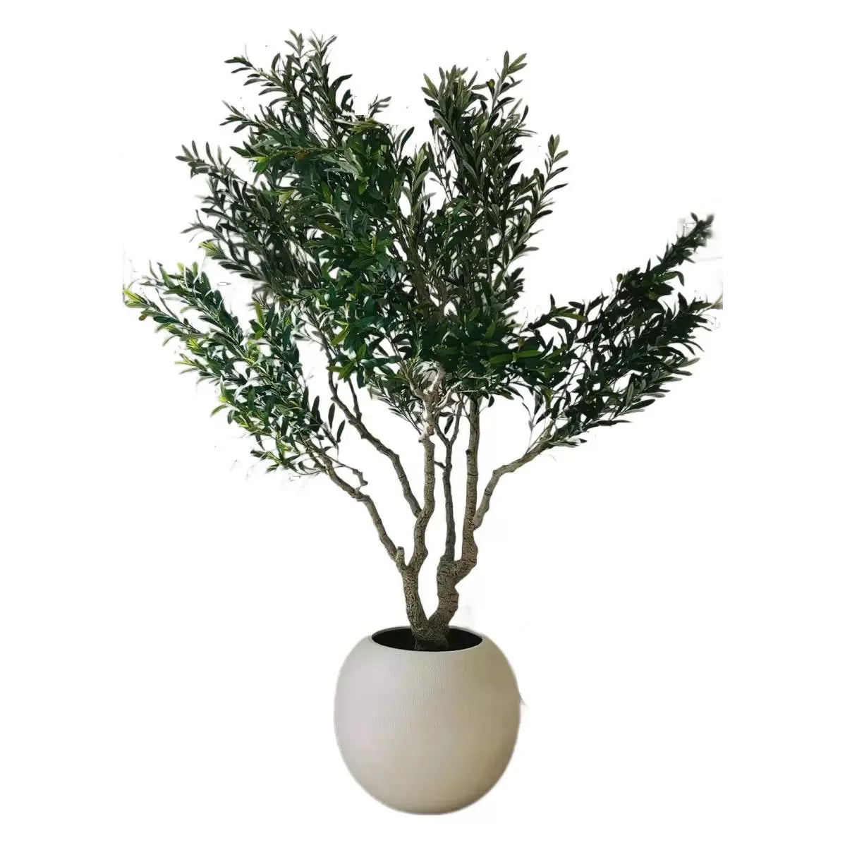 The same olive tree used outdoors on a terrace standing beside seating
