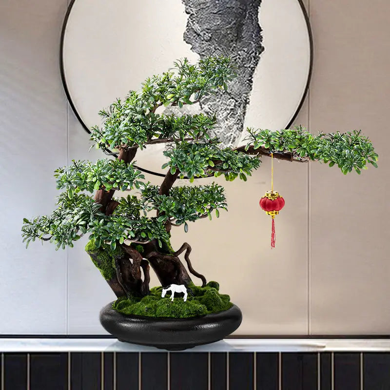 The 3ft bonsai shown beside a hand to give a sense of its size