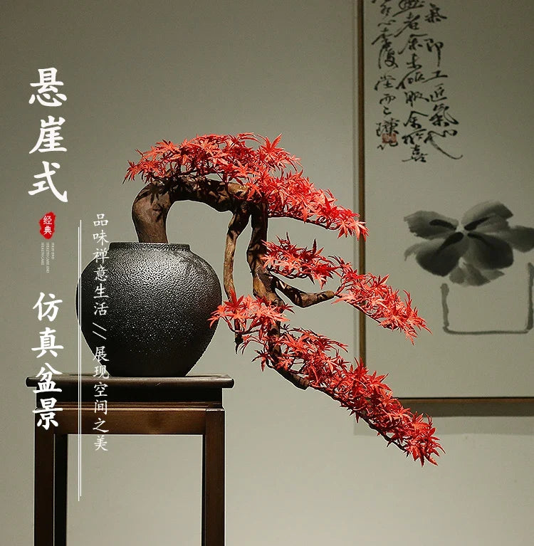 The 3ft cliff pine bonsai photographed against a plain studio backdrop