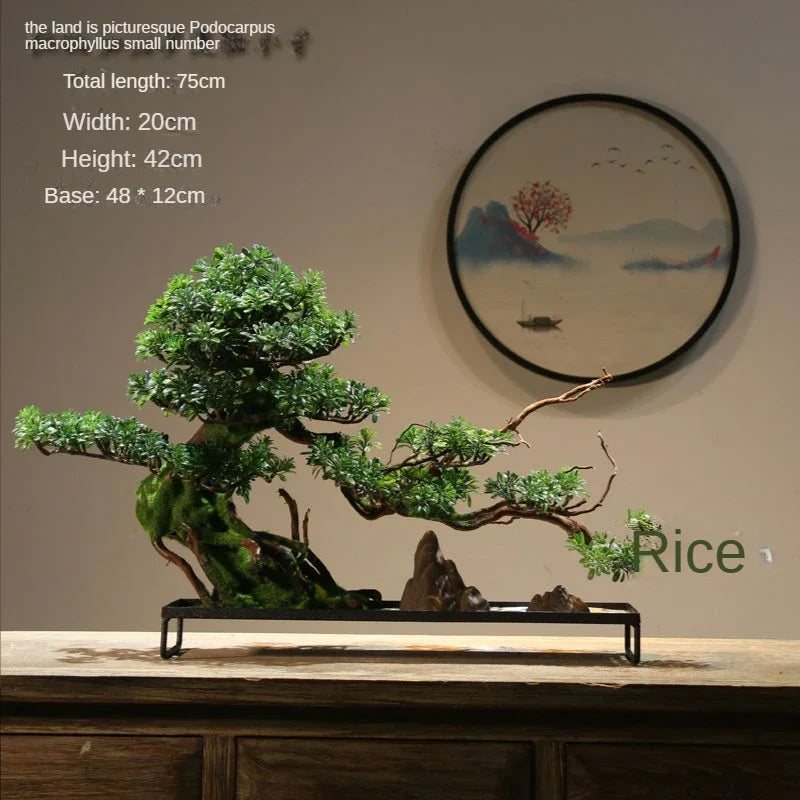 Close-up of a branch pad meeting the sculpted trunk of the Zen bonsai