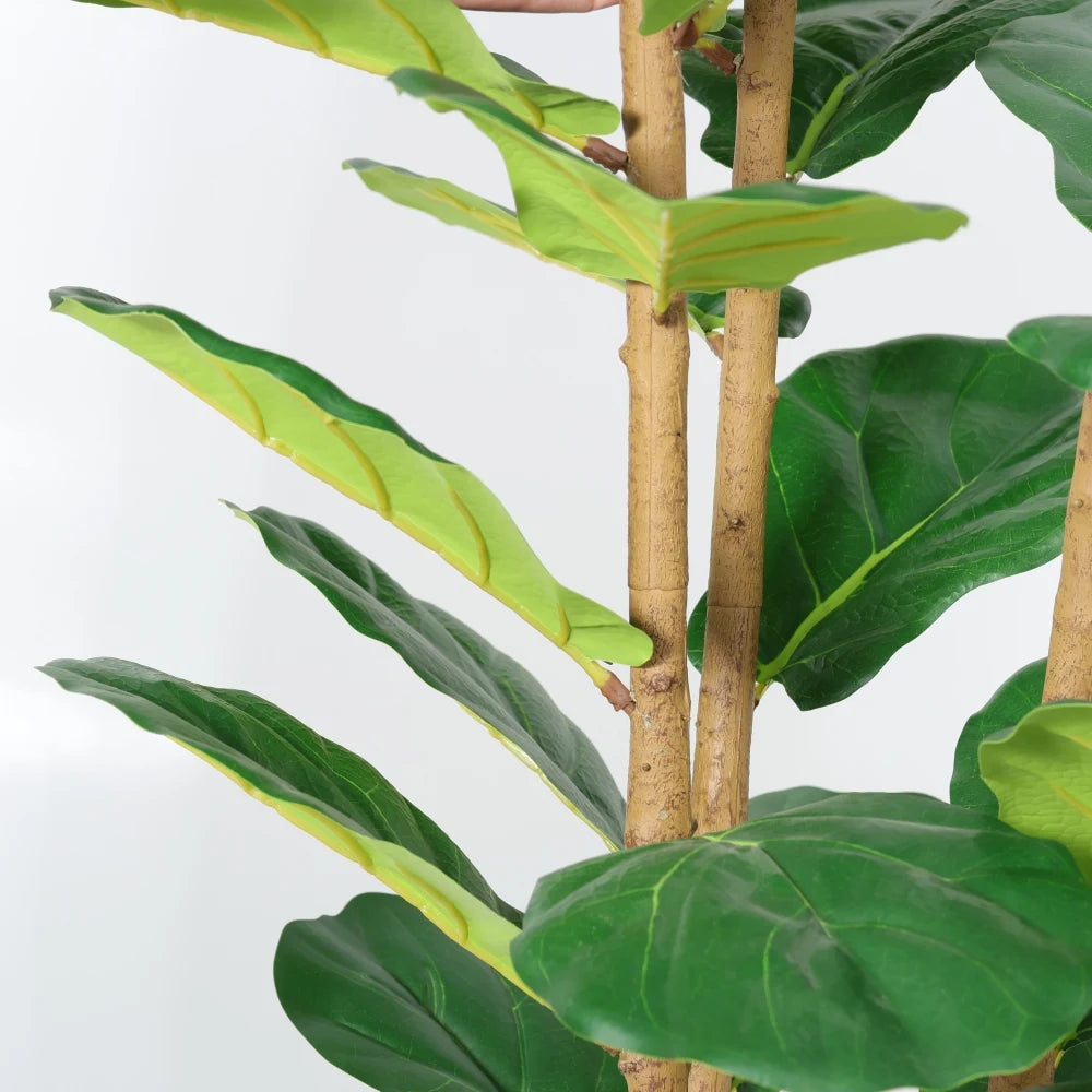 Artificial Fiddle Leaf Fig Tree — 5.2 ft, White Mossed Pot, Single Corner Size